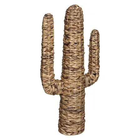[178737 ZEN35] Cactus jacinthe Haci H75, beige