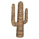 [178737 ZEN35] Hyacinth cactus Haci H75, beige