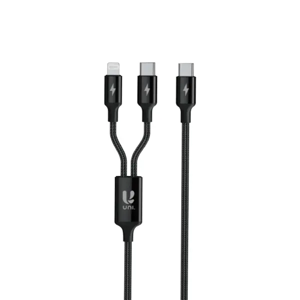 Câble 2 en 1 Type-C vers Lightning et Type-C vers USB