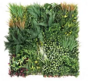 Jungle Hush Plant Wall For Outdoors DBC05