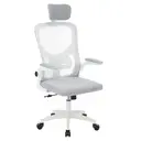 [HOP1001787-2 ZEN54] Ergonomic office chair with lumbar support
