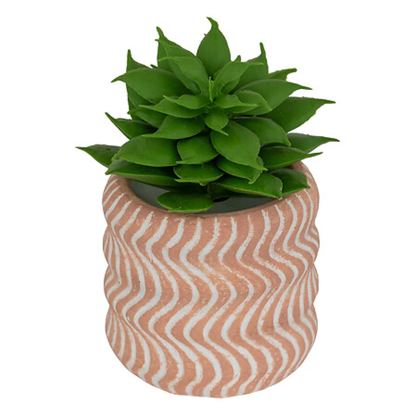 Mini plante grasse artificielle Ubi hauteur 7 cm 8 modeles assortis
