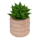 [206505 ZEN55] Mini artificial succulent plant Ubi height 7 cm 8 assorted models