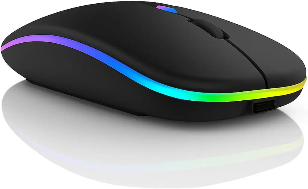 Souris sans fil rechargeable Bluetooth pour PC et ordinateur portable