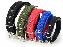 [1.5*45] COLLIER COULEUR ASSORTIR (1.5*45)