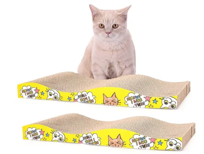 Cat griffinous scratch