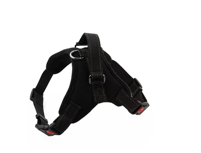 [SMALL 5-10KG] HARNAIS (S/ 10KG)