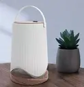 [SRE-DTL-01S] Lantern Coola Solaire DTL-01S : 300ML 2700K-6500K RGB