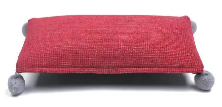 Coussin de Massage S1 Rouge