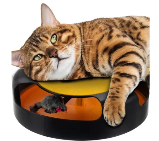 Circular cat toy with moving mouse and scratch pad