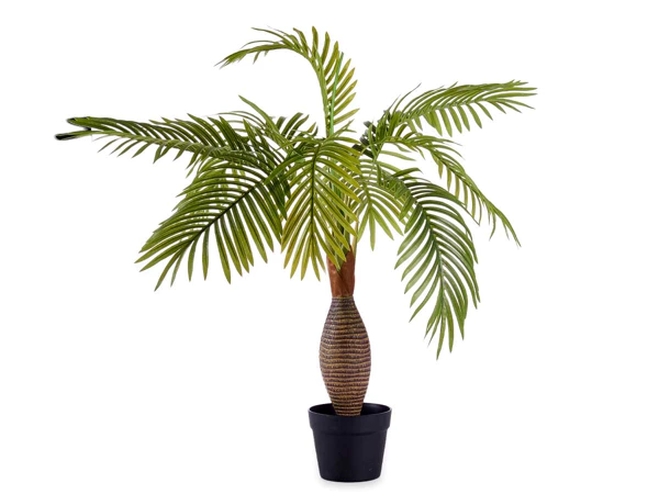 Plante en pot palmier tige large 90cm