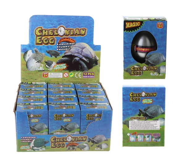 [9639] Oeuf de tortue en croissance