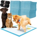 Absorbing carpets 100 rooms + 30 17213