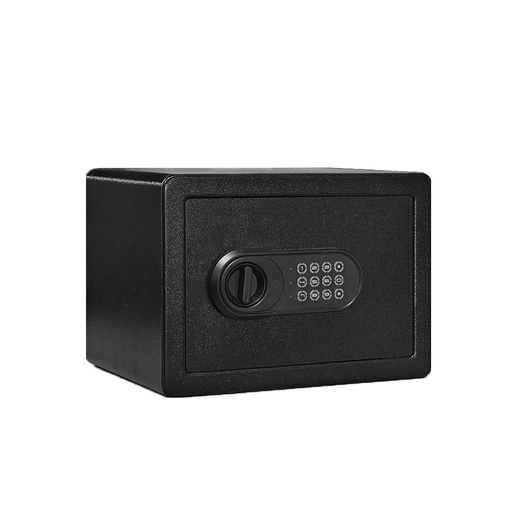 [MINISAFEBOX] Mini Safe Box