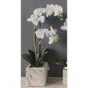 FA 56cm ORCHIDÉE BLANCHE