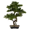 Bonsai en pot céramique Polin H86 cm – vert