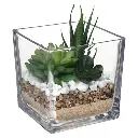 Terrarium plante en verre Tio H29,5 cm 