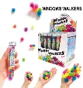 Rainbow Window Walker