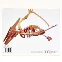 Puzzle bois dinosaure Ptéranodon