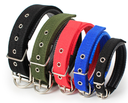 COLLIER COULEUR ASSORTIR