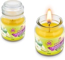 Bougie à la citronnelle 120 g