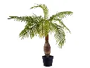 Plante en pot palmier tige large 90cm