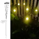 LED garden light decoration